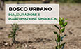 Piantati i primi 100 alberi del Bosco Urbano di Sant’Albino